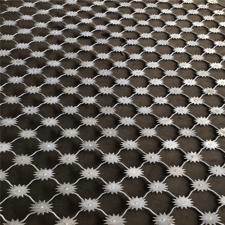 梅花刺片隔離網圖片4