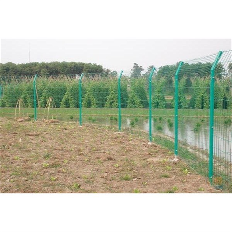 邊框型水庫保護圍網圖片3