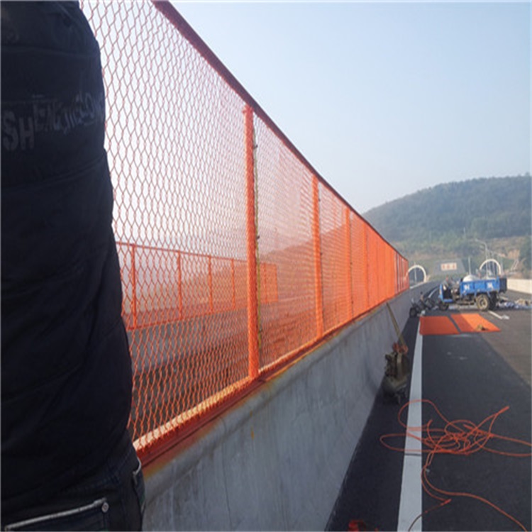 高速公路防護(hù)網(wǎng)圖片1