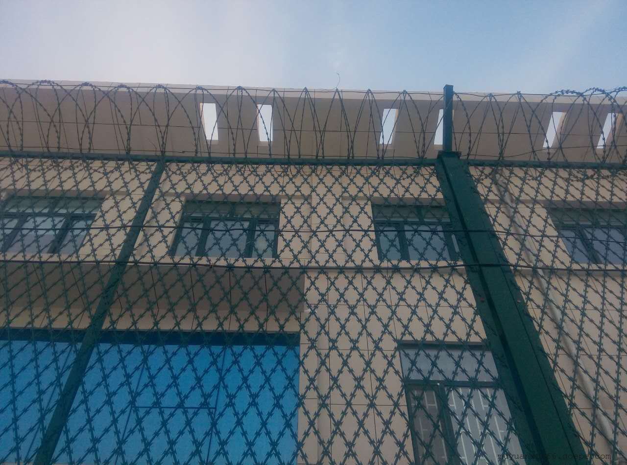上海監獄防攀爬金屬隔離網圖片4