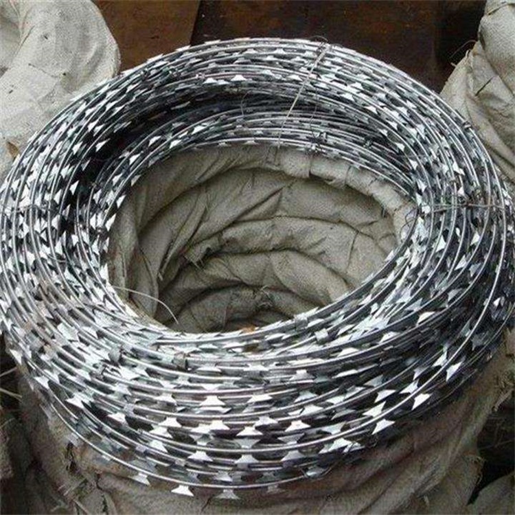 鋼絲焊接刀片刺網(wǎng)圖片2