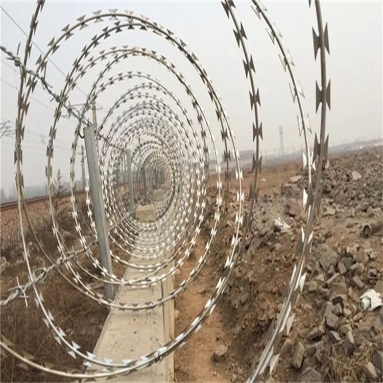 鋼絲焊接刀片刺網(wǎng)圖片3