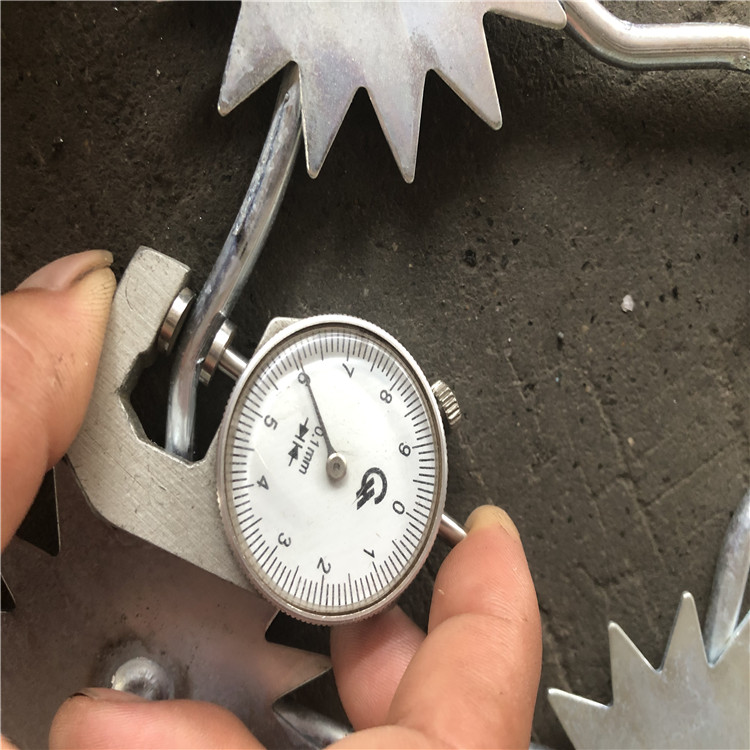 上海梅花刺片防護網圖片3