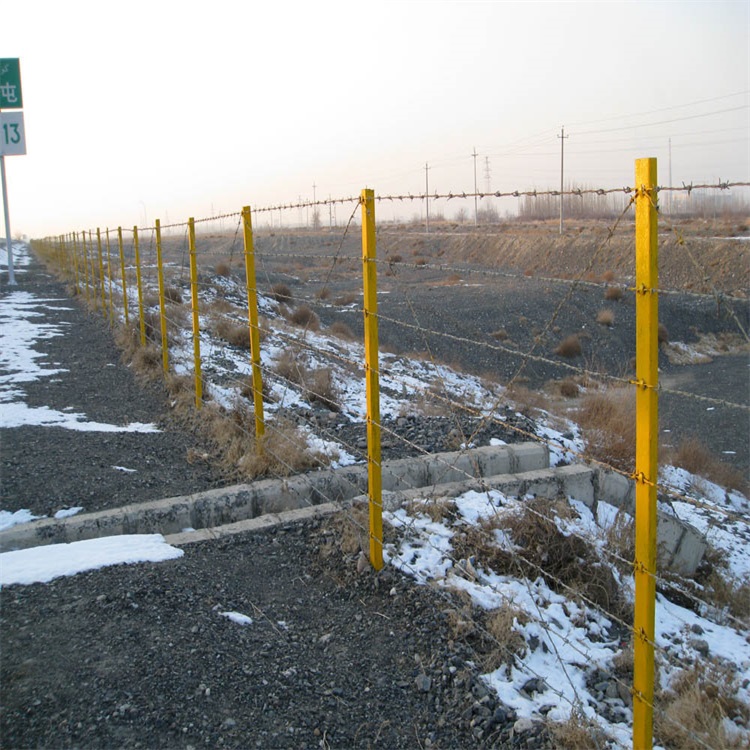 上海熱鍍鋅雙邊絲圍欄圖片1