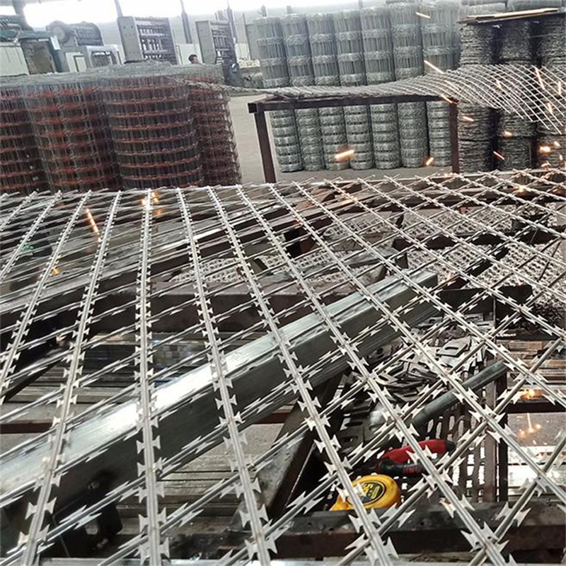 刀片刺網(wǎng)護(hù)欄圖片3