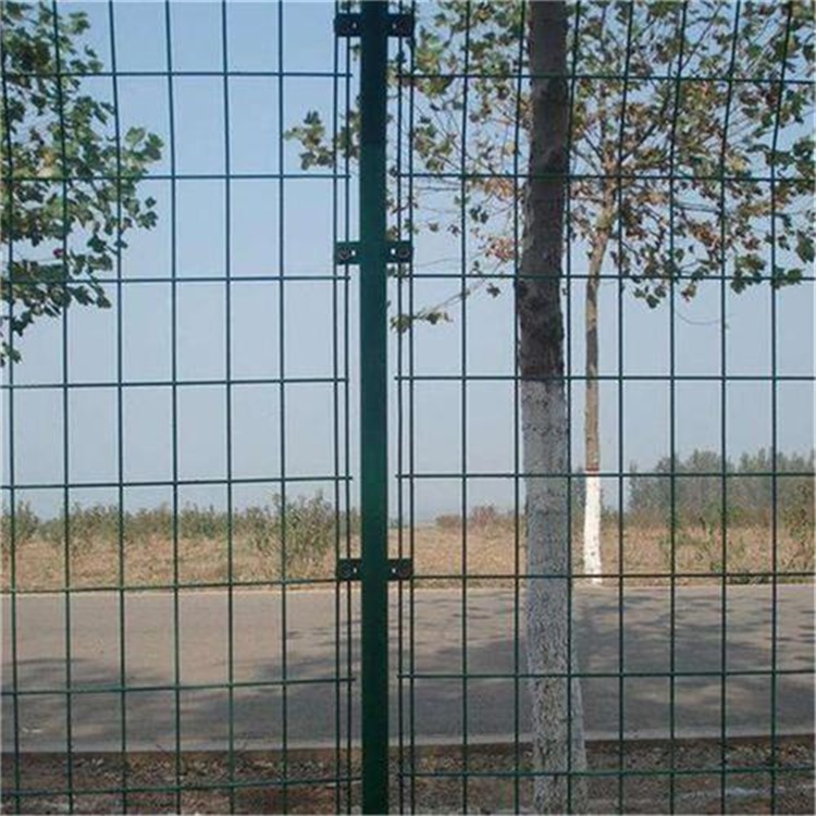 雙邊絲護欄網立柱圖片3