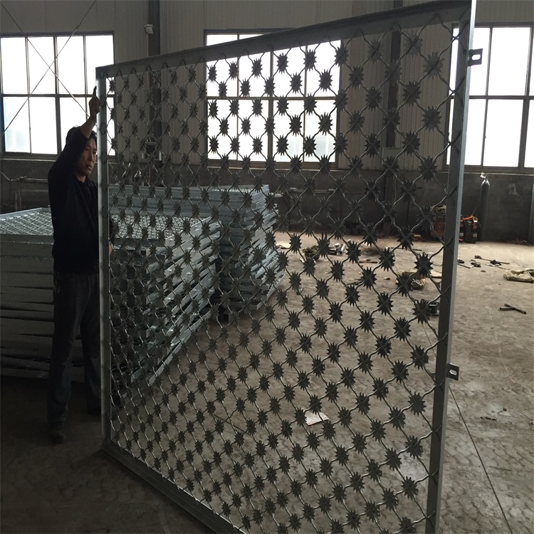 上海太陽花刺片美格網圖片4