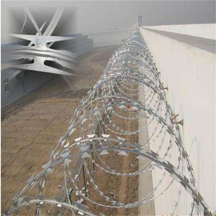 不銹鋼刺繩護(hù)欄網(wǎng)圖片1