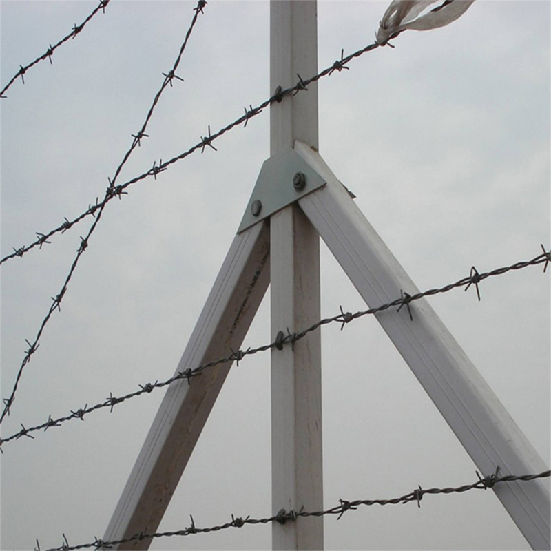 上海鐵蒺藜隔離網圖片1