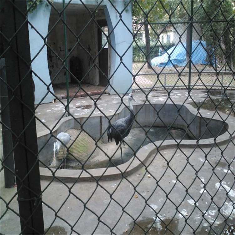 上海生態修養圍欄圖片2