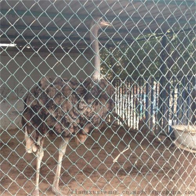 上海生態修養圍欄圖片4