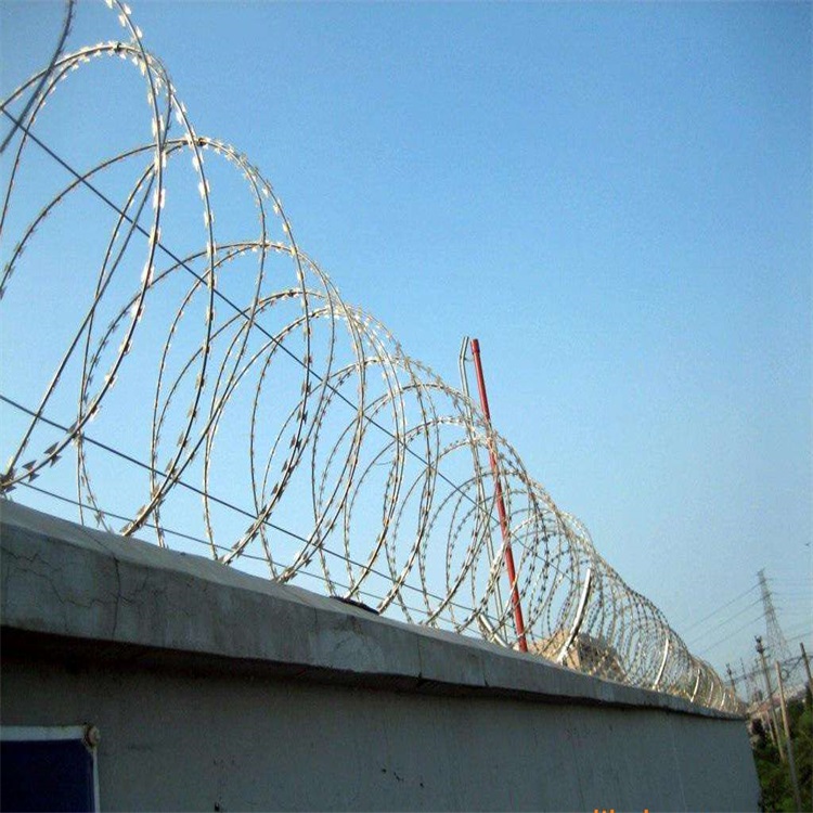 刺鐵絲隔離柵圖片2