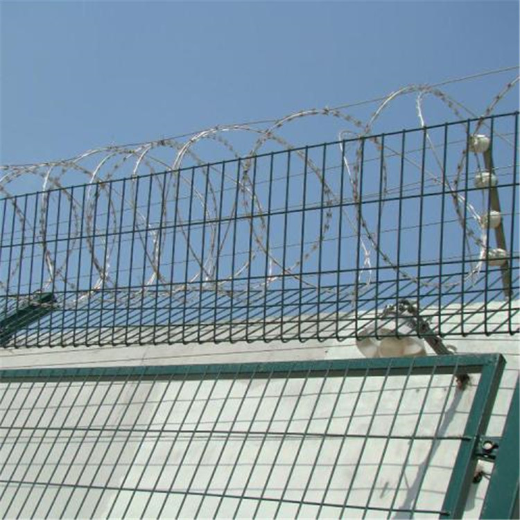 上海監(jiān)獄隔離網圖片2