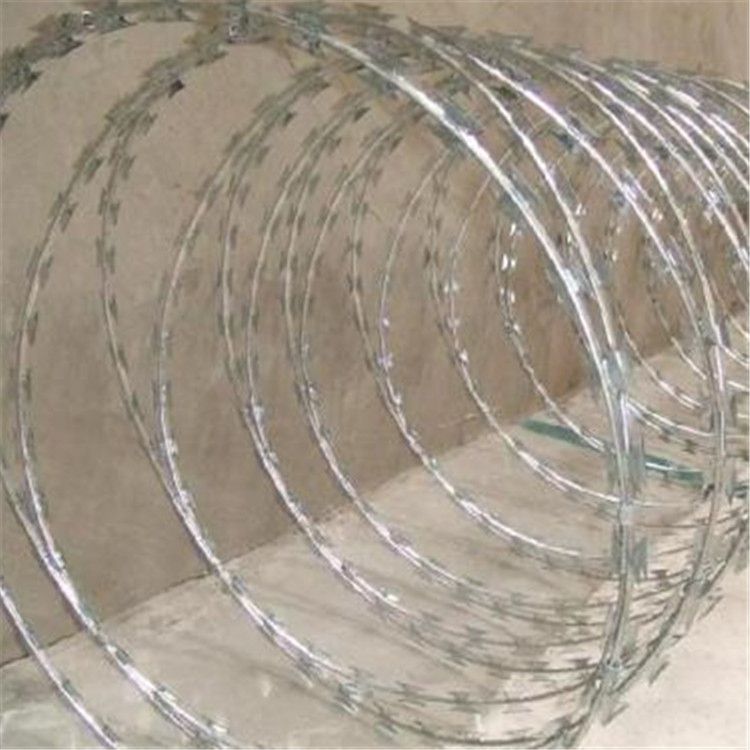 螺旋刀刺網圖片3