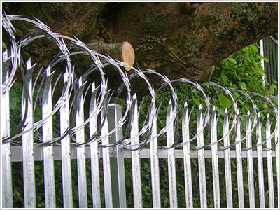 蛇腹型不銹鋼刀片刺網圖片2