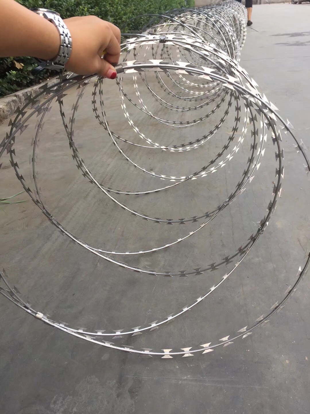 鐵路專用刺絲滾籠圖片4