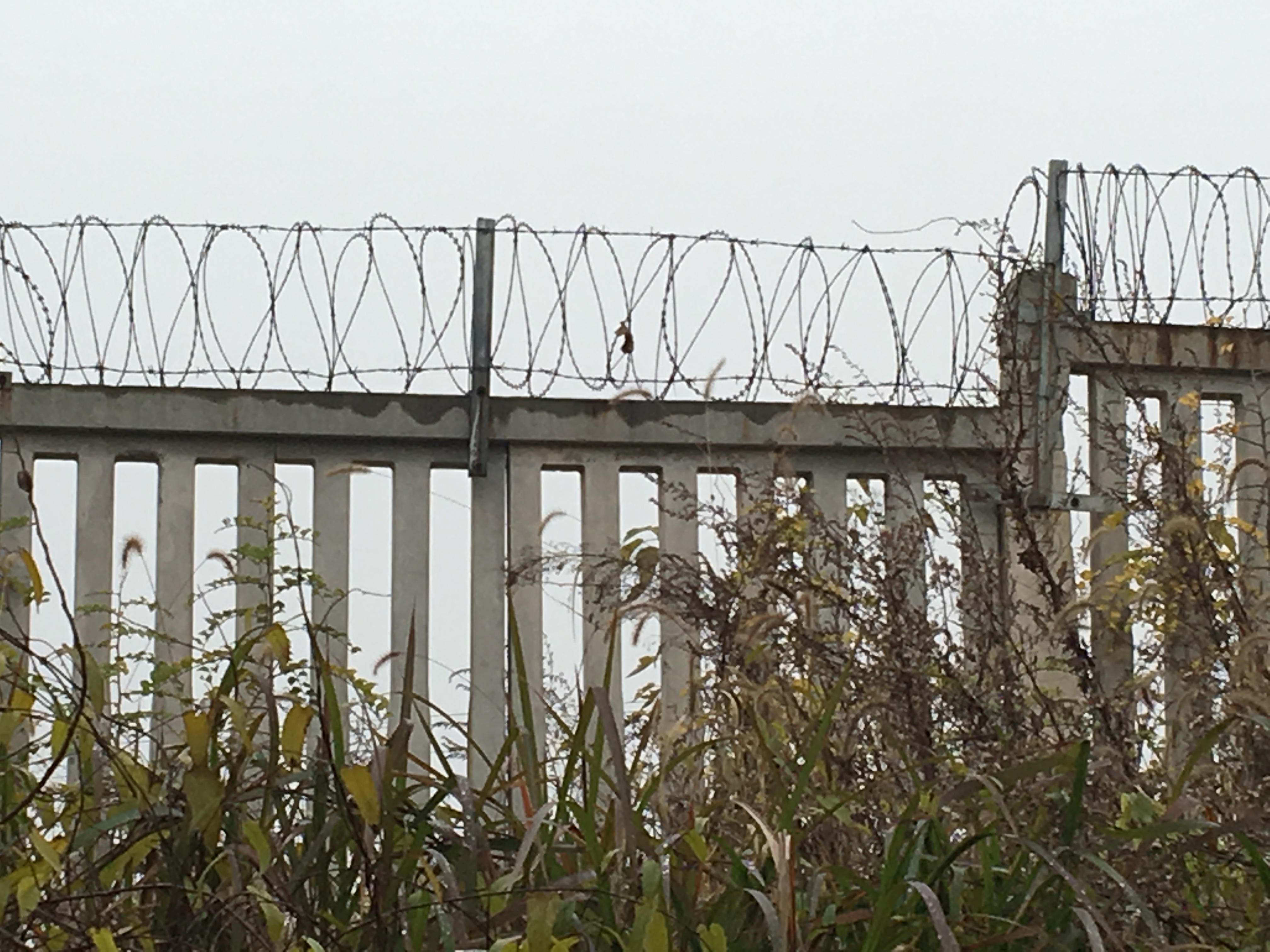 蛇腹式刀刺網鋼網墻