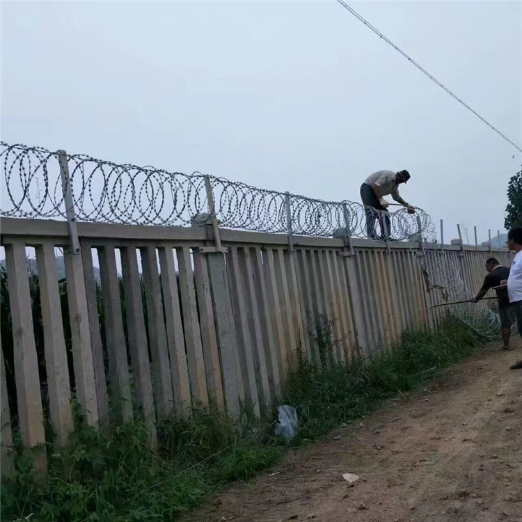 上海監獄專用不銹鋼刺刀圈圖片2