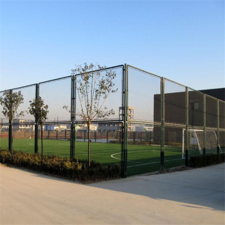 體育場(chǎng)地圍欄網(wǎng)圖片3