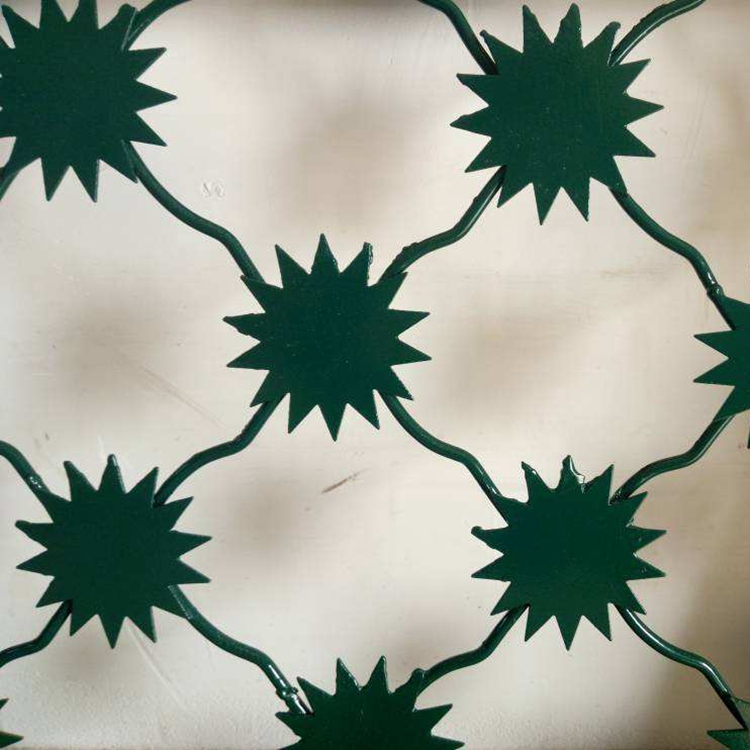 監(jiān)獄梅花刺片鋼網(wǎng)墻圖片3