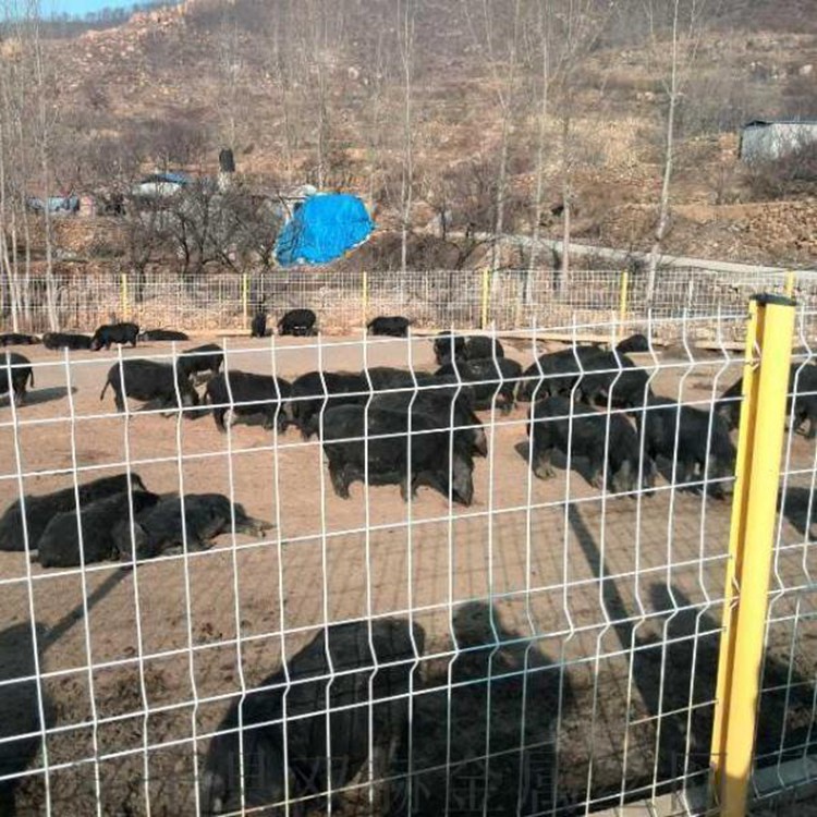 菜園果園圍養殖圍欄防牲畜護欄網圖片1