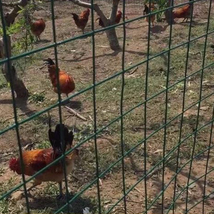 菜園果園圍養殖圍欄防牲畜護欄網圖片2